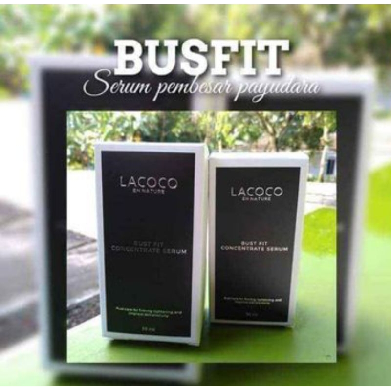 BUSFIT PEMBESAR PAYUDARA AMPUH HERBAL NASA