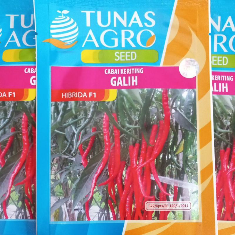Benih Cabe Keriting GALIH F1 10 Gram Tunas Agro