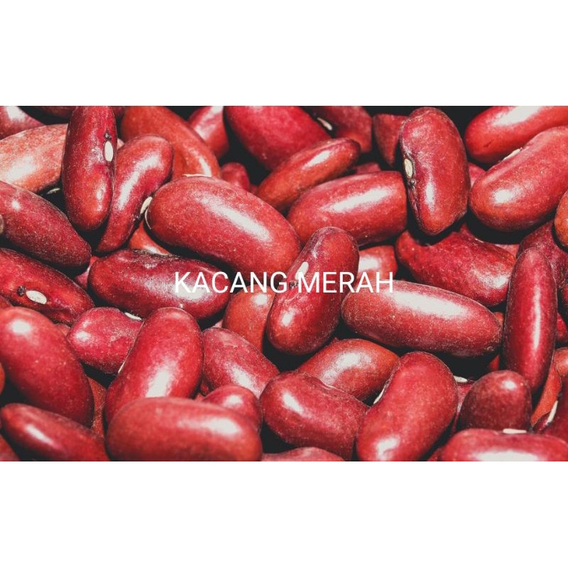 

KACANG MERAH 1 KG.