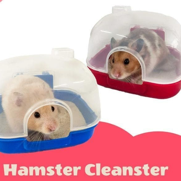 Cleanster Big Tempat Mandi Pasir Hamster Wadah Pasir Wangi