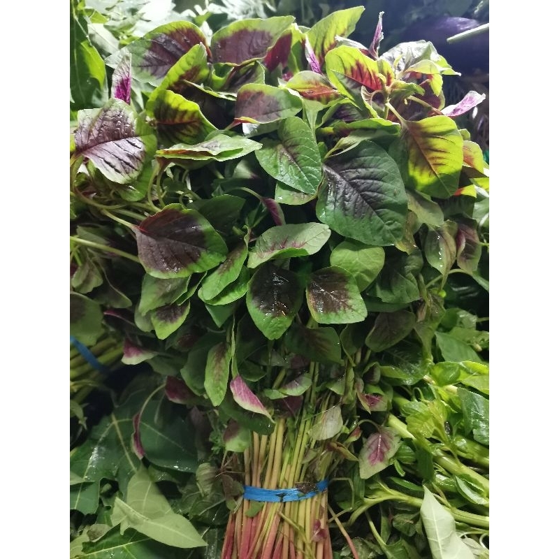 

BAYAM feel MERAH (HARAP TANYAKAN STOK)