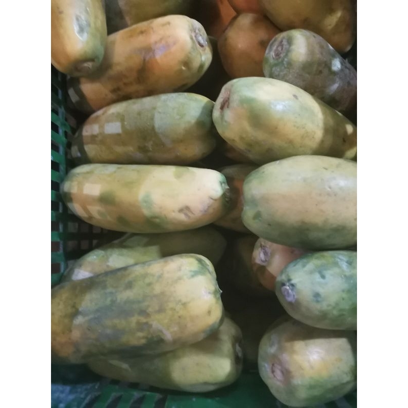 

PEPAYA CALIFORNIA SATUAN