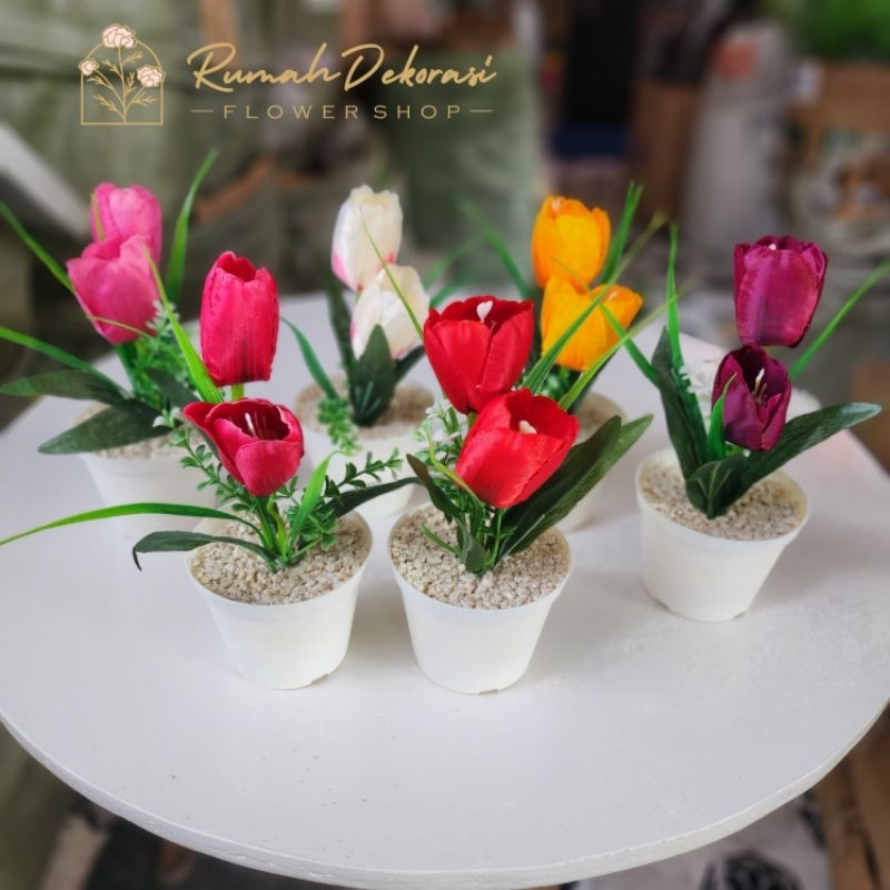 Bunga Tulips (2 kuntum) + Pot