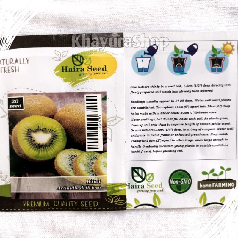Bibit Benih Buah Kiwi Hairaseed