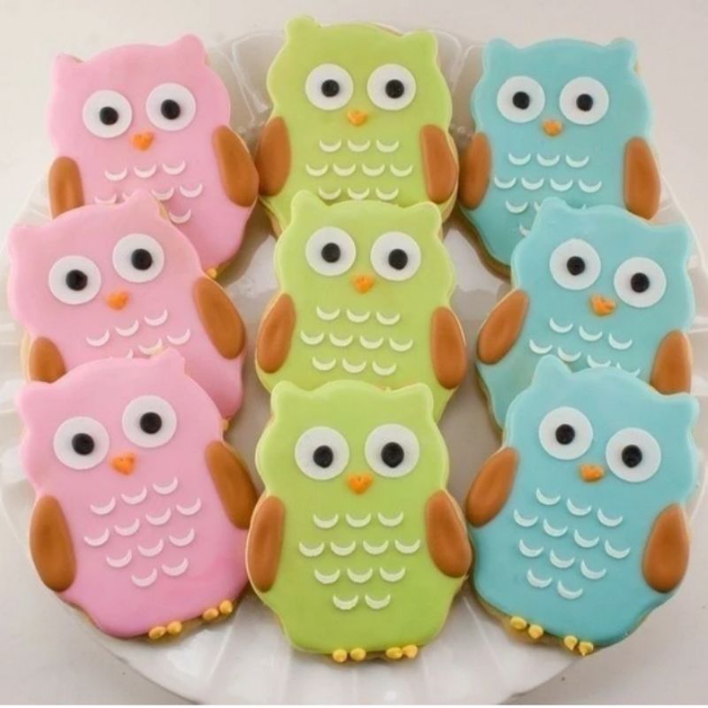 

Catanova Butter Kukis Hias Tema Owl Burung Hantu Lucu