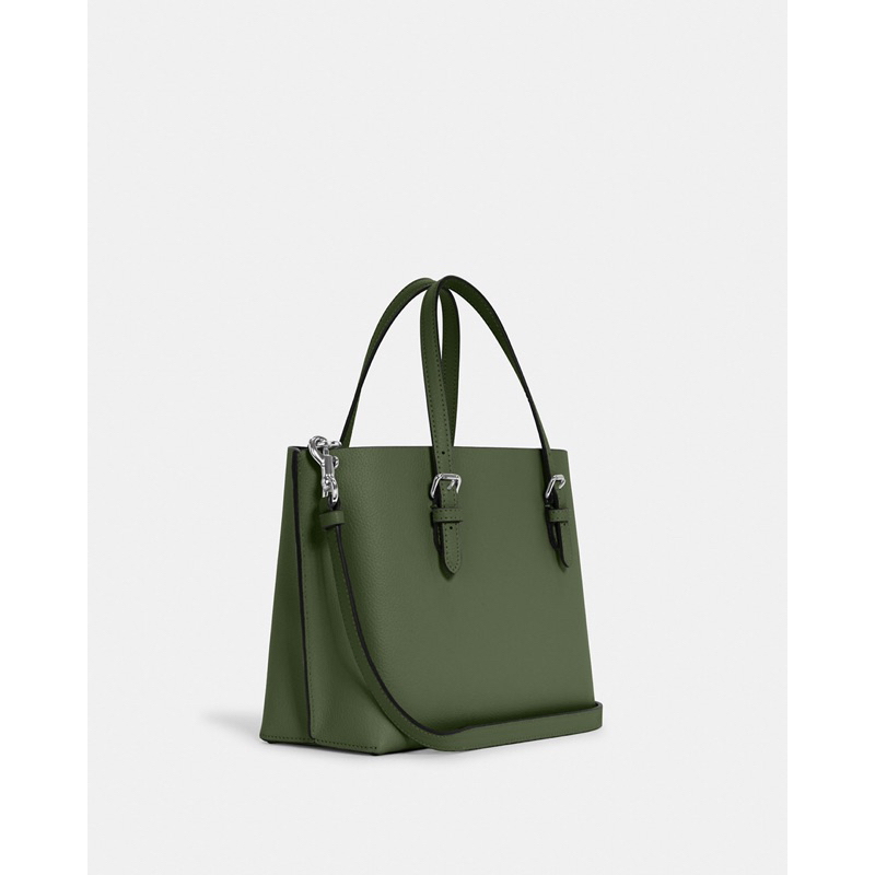 Coach Tote in Signature Canvas Mollie Green (C4084)