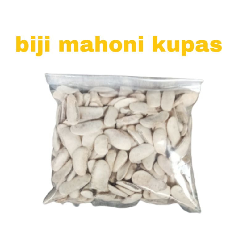 

Biji Buah Mahoni Sudah Di Kupas Herbal
