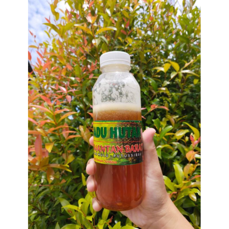 

Madu Hutan Asli Kapuas Hulu