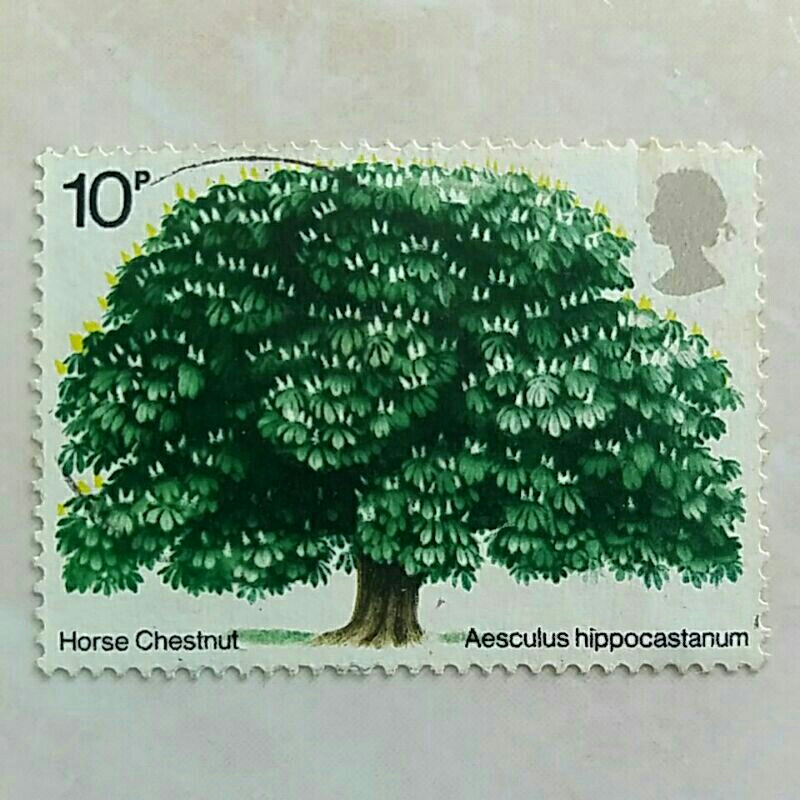 

(AA) Perangko Inggris Britania Raya 1974 Trees - Horse Chestnut 10p Used