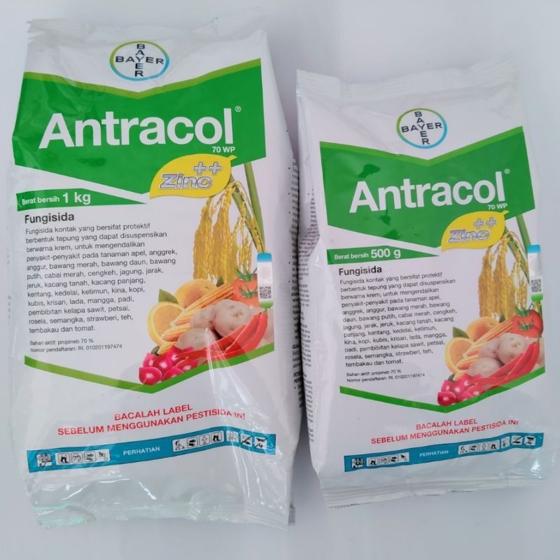 Fungisida Antracol Obat Anti Jamur Pada Tanaman - Antracol Fungisida Anti Jamur