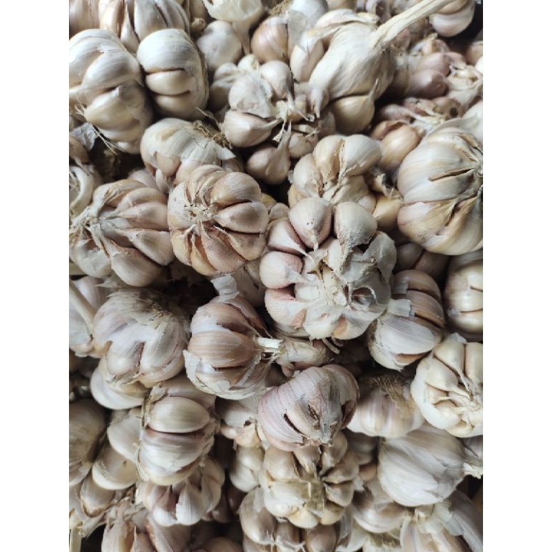 

BAWANG PUTIH 1 KG