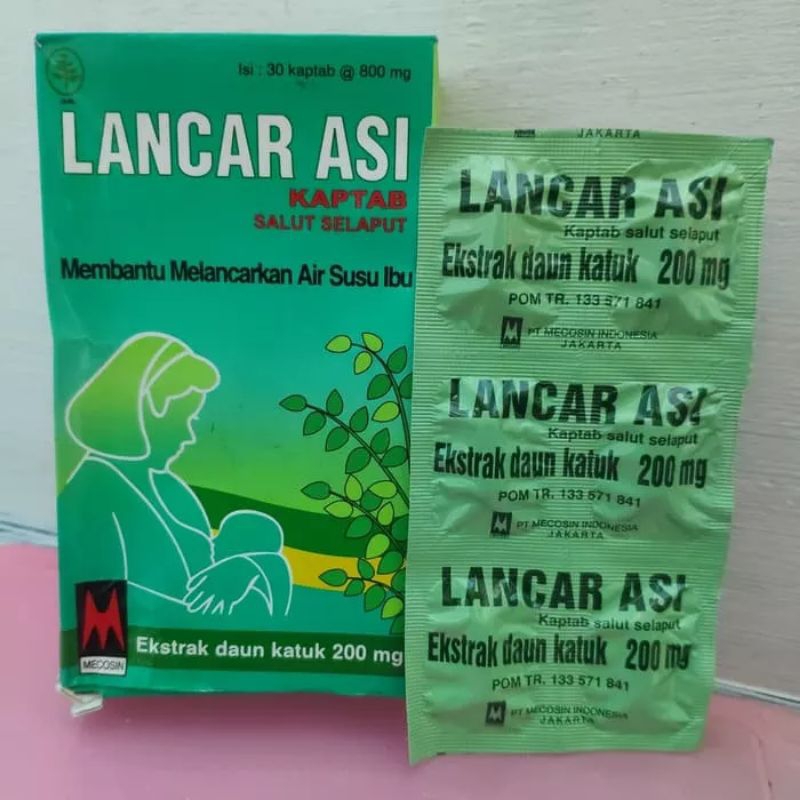 Lancar asi Daun katuk