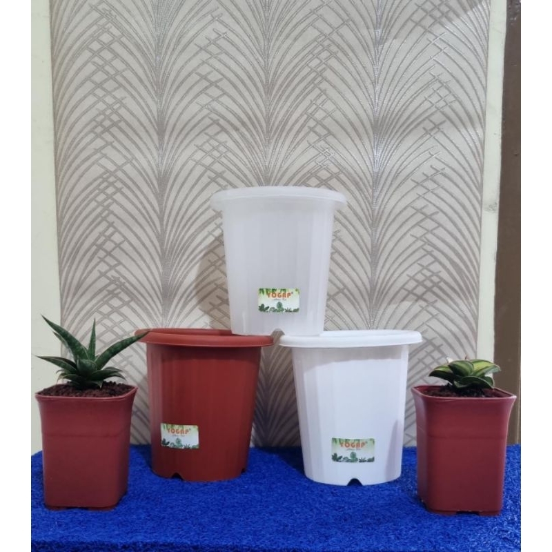 pot Yogap tinggi /pot ypt 10/ pot tinggi 10