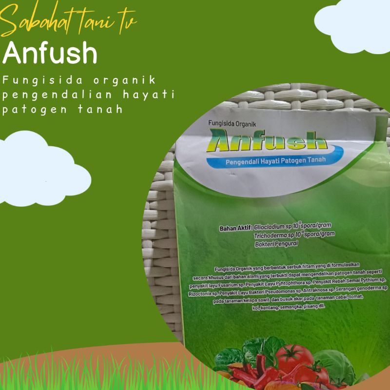 ANFUSH FUNGISIDA ORGANIK 500GR