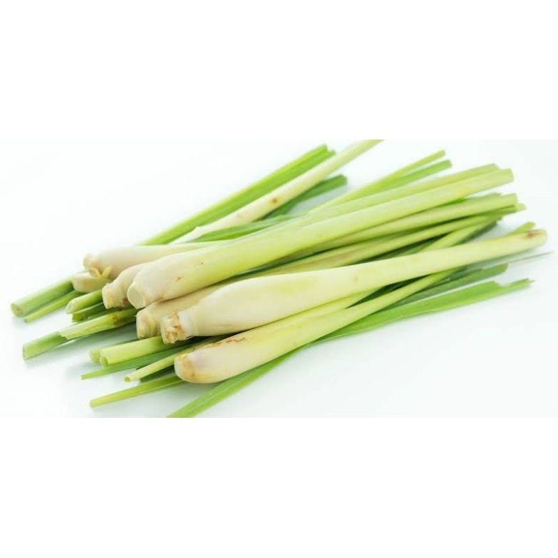 

serai dapur/sereh dapur/bumbu dapur langsung petani