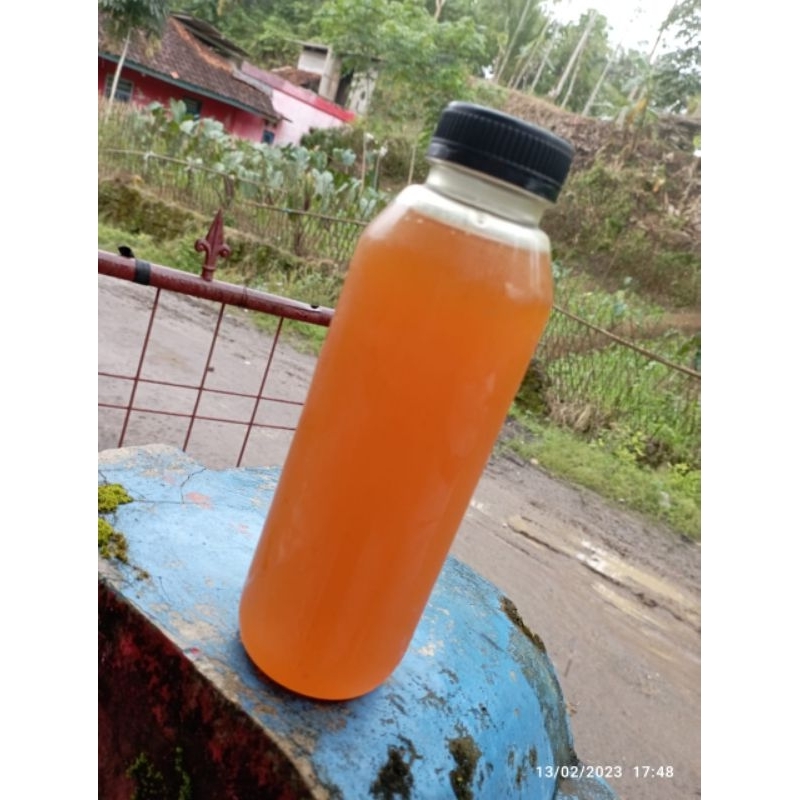 

COD !!! 250ml madu hutan asli tanpa campuran