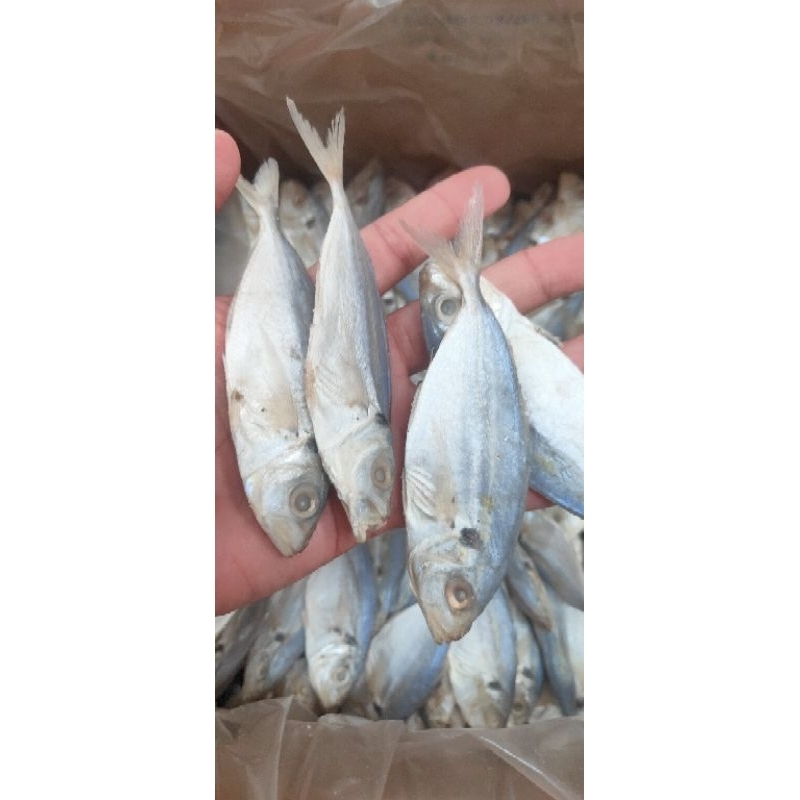 

ikan asin selar 100g