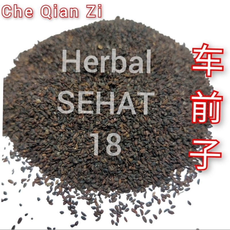 

Che Qian Zi Cha Cien Ci 600 Gram Plantain Seed Semen Plantaginis