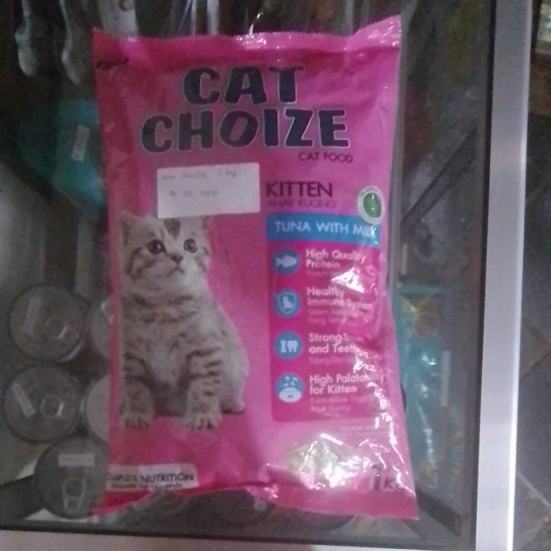 Cat choice kitten