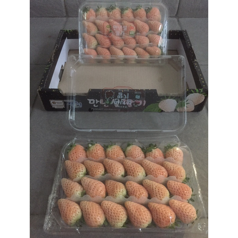 

Buah Strawberry Pink Berry Korea 1 Dus (2 Pack) Fresh Import
