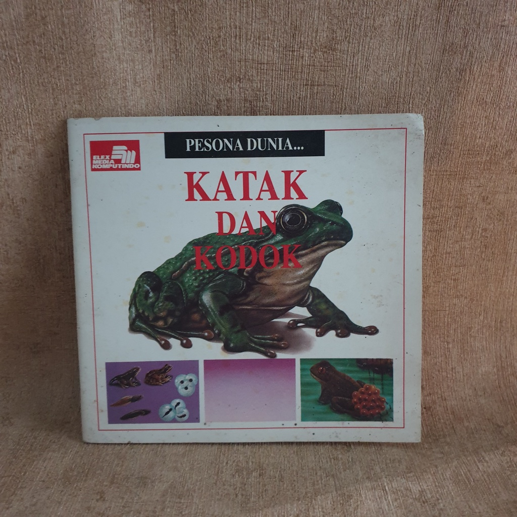 Buku Pesona Dunia Katak dan Kodok - original Buku Anak