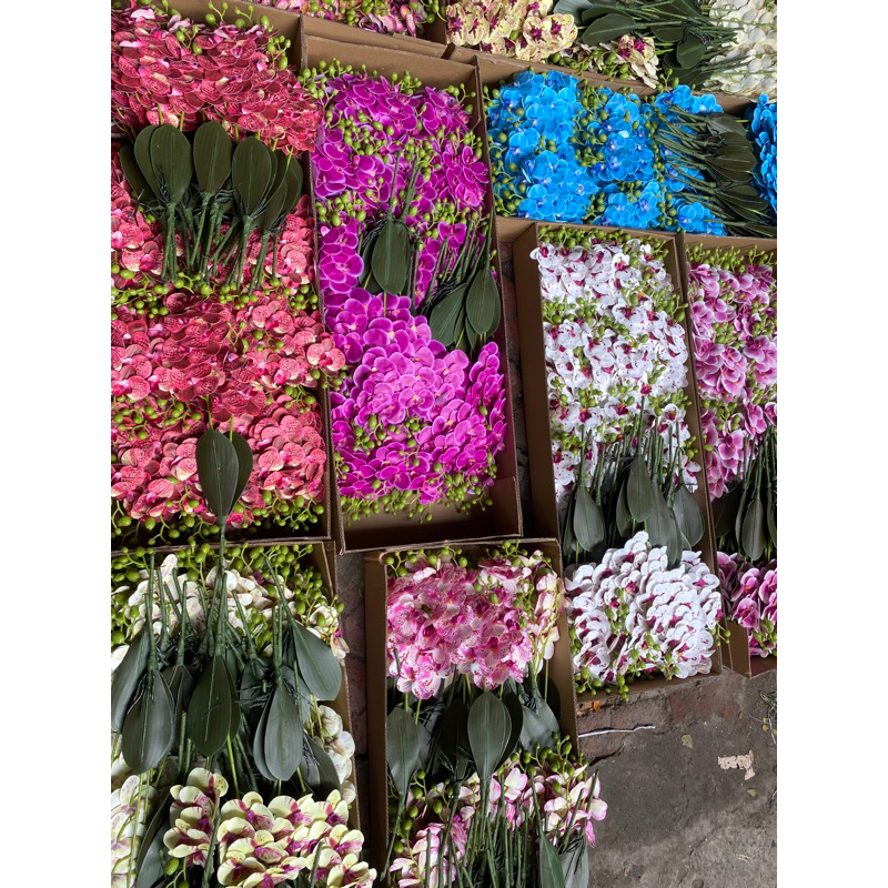 anggrek laten cabang 2 import murah artificial