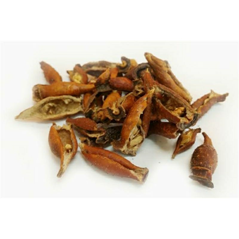 

100gr 金樱子 Jin Yin Zi Rosae Laevigatae Fructus