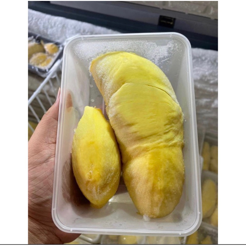 

Durian Monthong Palu