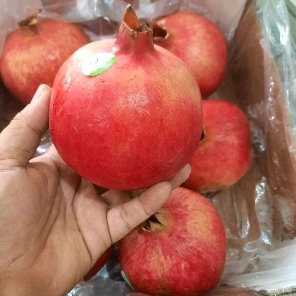 

Delima Merah Import 1 buah