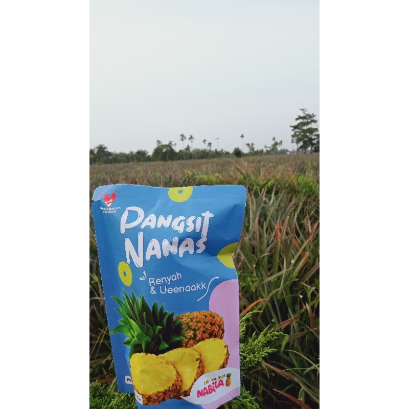 

pangsit nanas oleh-oleh Jambi, buy 5 get 1