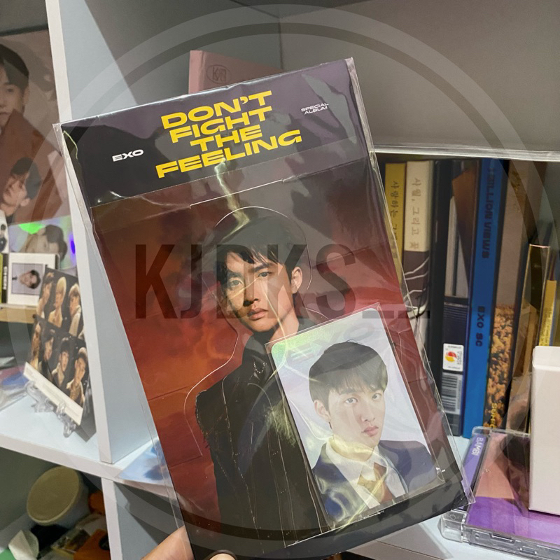 D.O. / Do Kyungsoo EXO Official Holo Standee DFTF