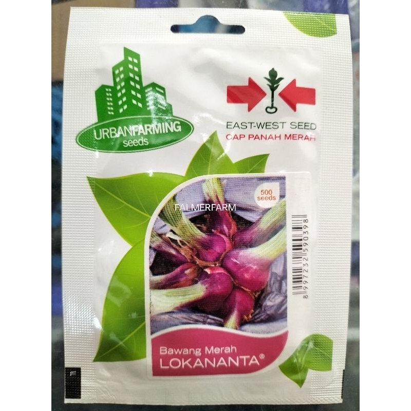 BENIH BIBIT BAWANG MERAH LOKANANTA PANAH MERAH ISI 500 BENIH
