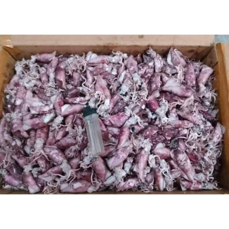 

Cumi Asin enak empuk murah 500g