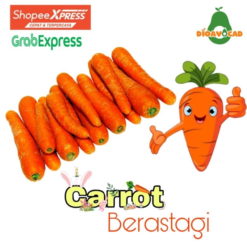

wortel berastagi 1kg fresh