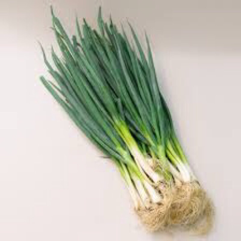 

DAUN BAWANG PER IKAT