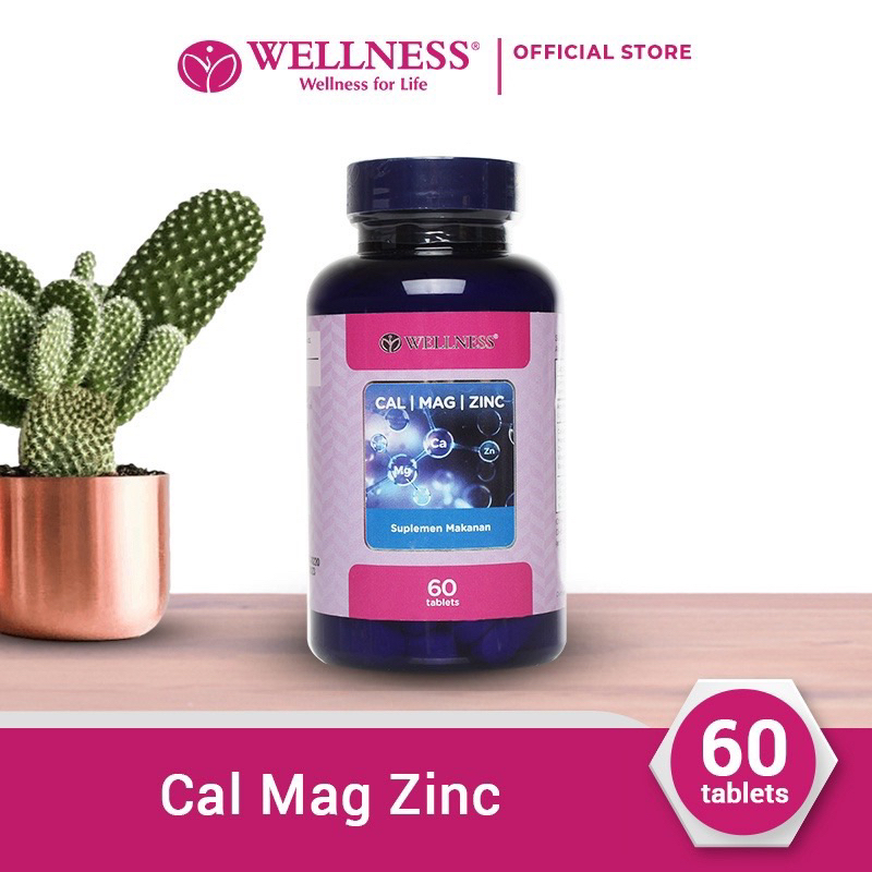 Wellnes Cal/Mag/Zinc
