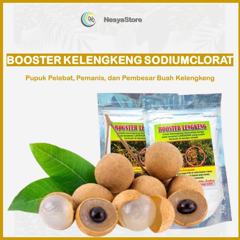 Booster Kelengkeng Pupuk Buah Kelengkeng Agar Cepat Berbuah