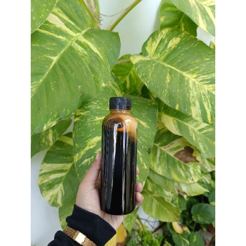 

Madu Hitam Asli