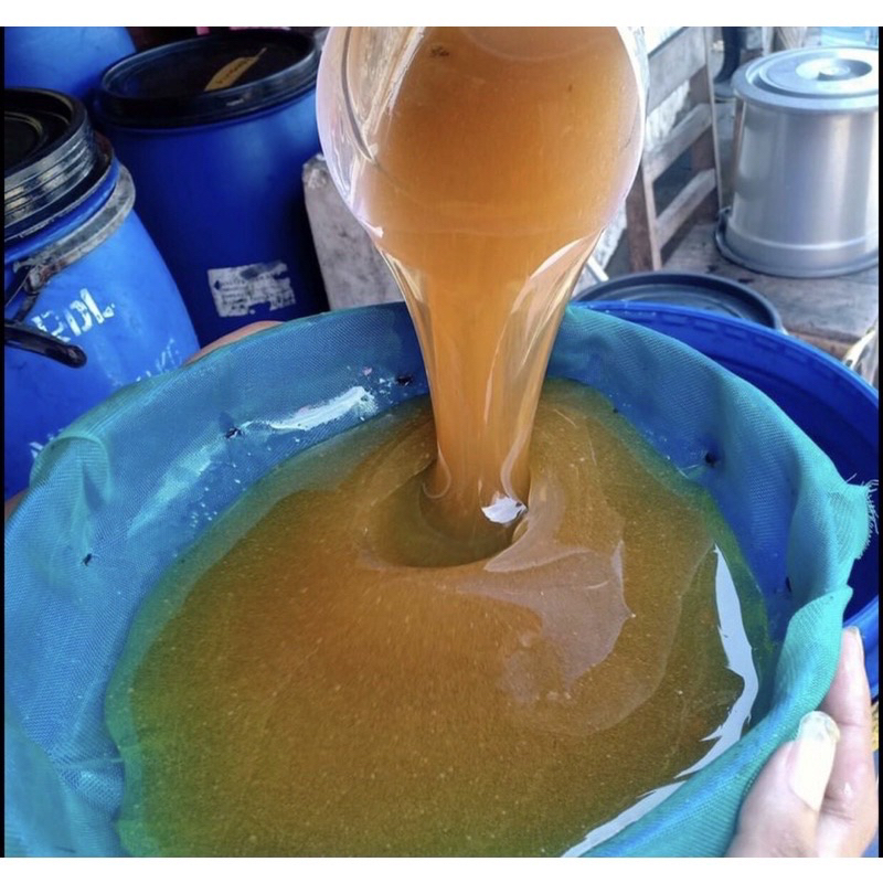 

Be Honey Bee Madu Multiflora super 25Kg grosir