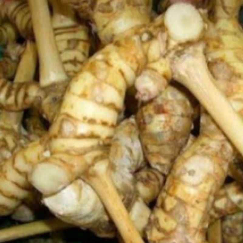 

Buah ganyong