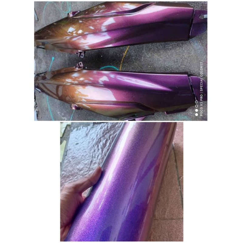 Sticker skotlet warna bunglon purple gold skotlet bunglon merah