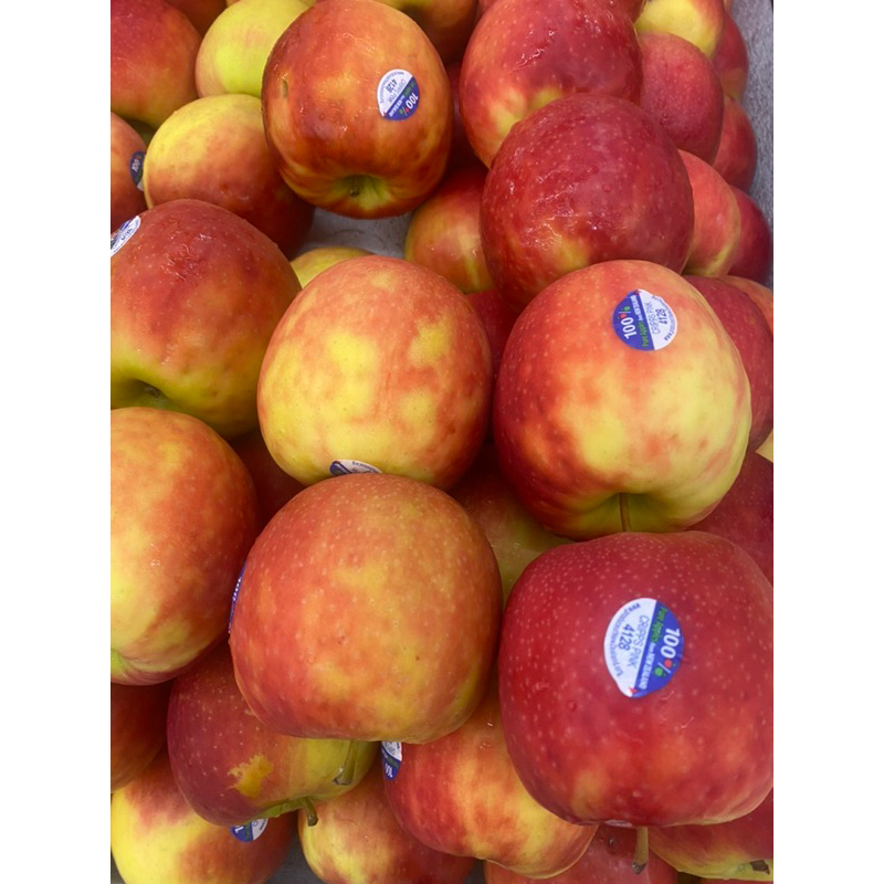 

APEL PINK LADY NEW ZEALAN / BUAH APEL PINKLADY NZ MANIS GARING 1 KG