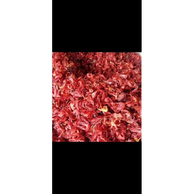 

KULIT PALA KERING 1 KG KUALITAS LOKAL MANTAP