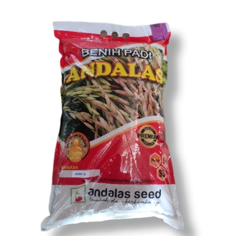 benih padi varietas inp Mantap @5kg