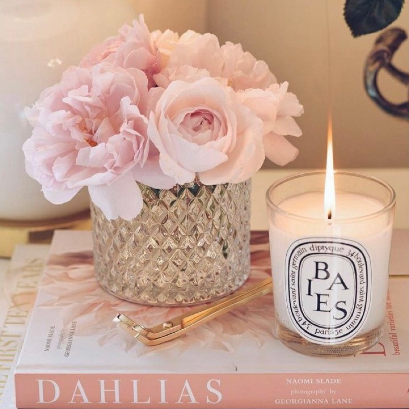 DIPTYQUE SCENTED CANDLES SERIES BAIES AMBER VANILLE | Scented Candle Aesthetic | Properti Foto Product Minimalis Mewah | Lilin Aromaterapi