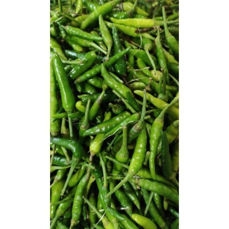 

cabai rawit hijau / cabe ijo 100 gr