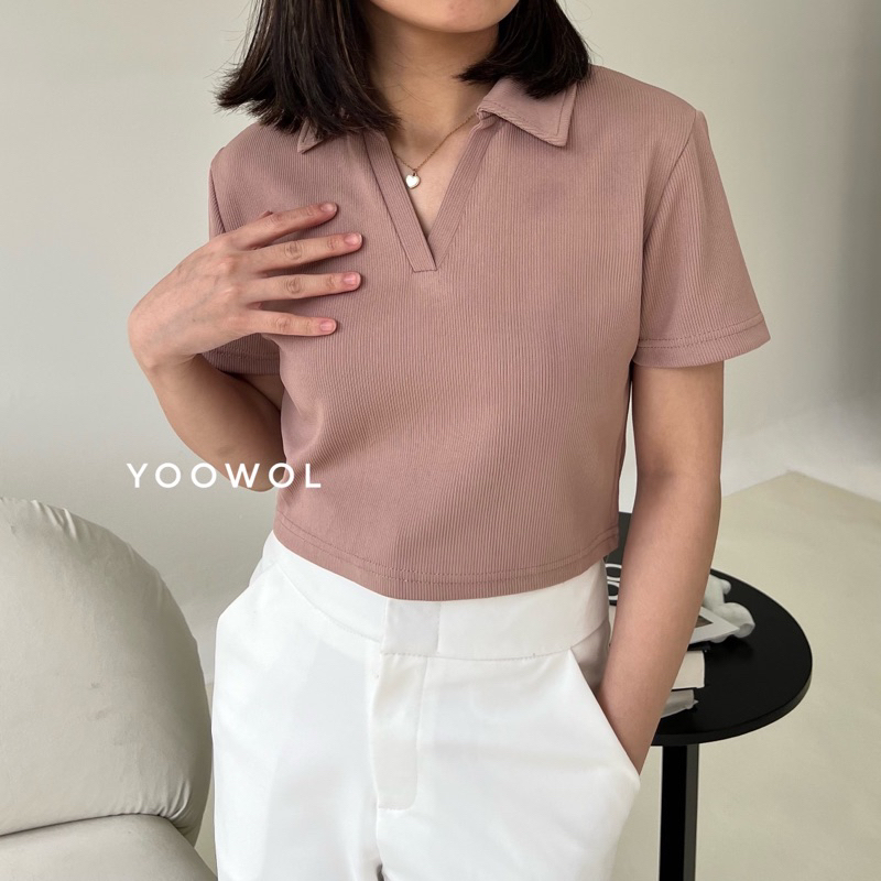 Shea Top/ Basic Knit Crop Top