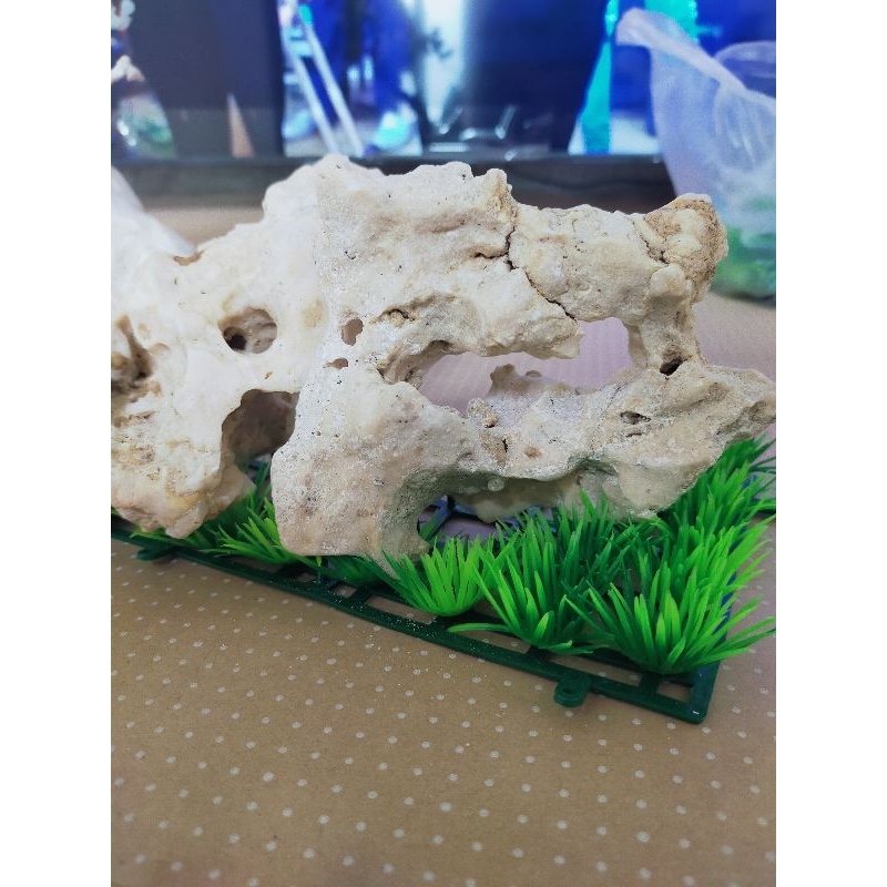 batu karang bolong bolong /1kg