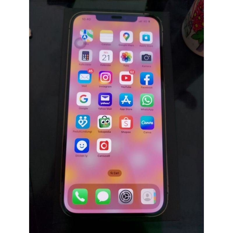 iphone pro max 12
