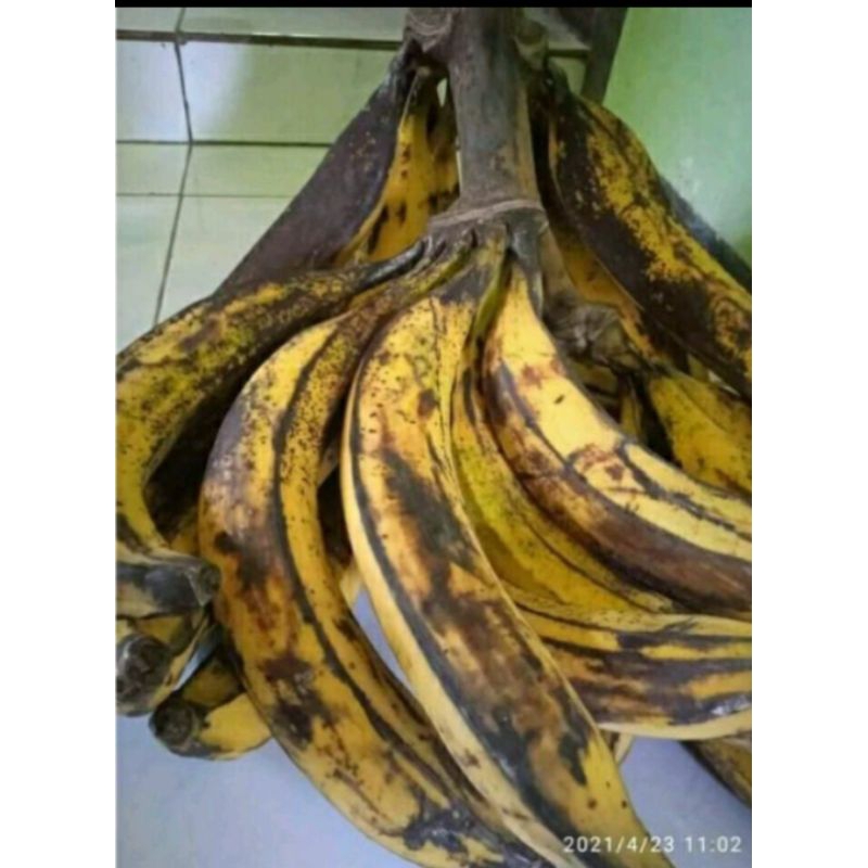 

Pisang agung per 1buah